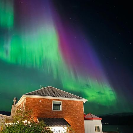 Altafjord Gjestegaard Exteriör bild