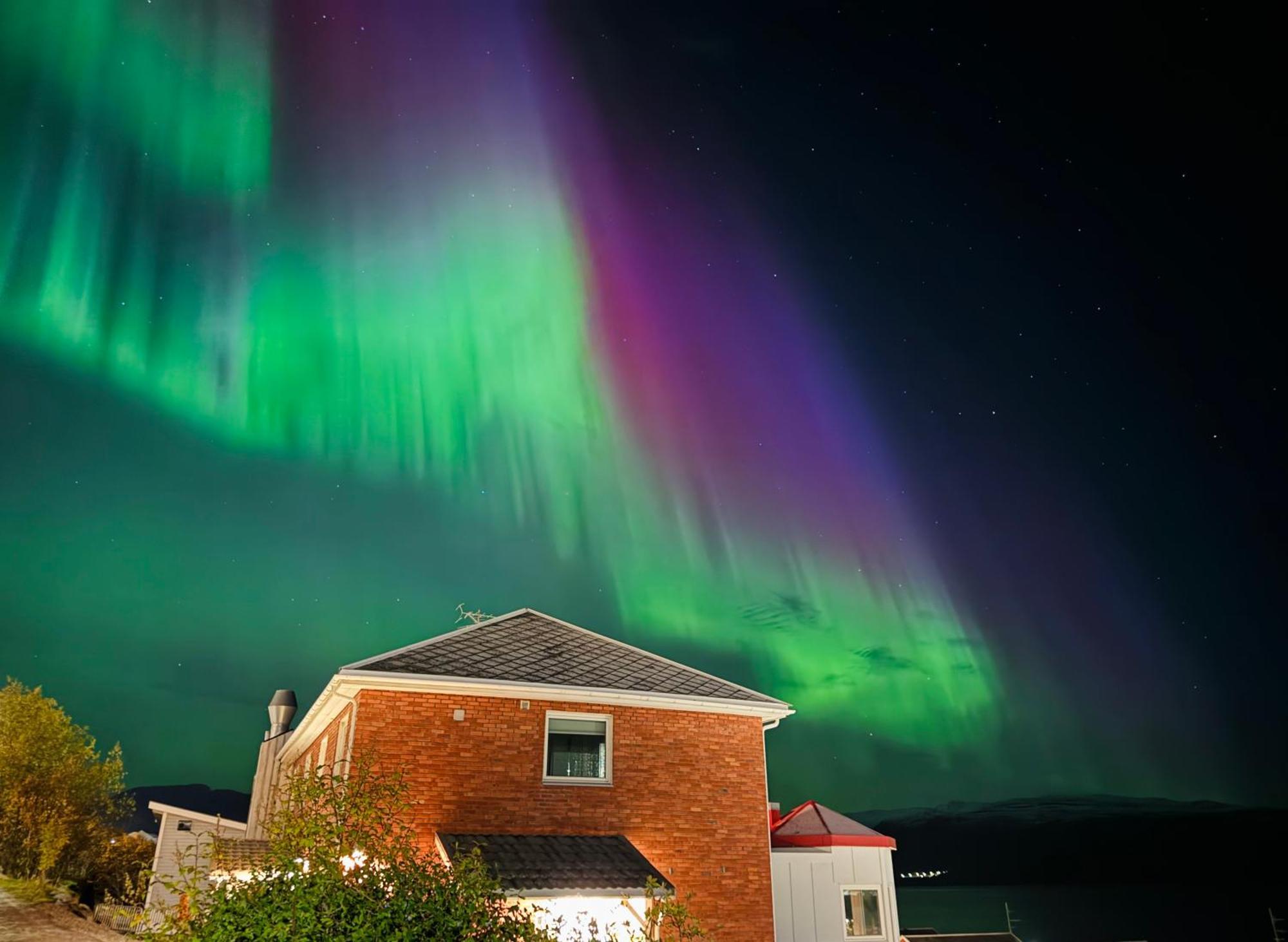 Altafjord Gjestegaard Exteriör bild